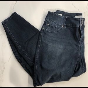 Torrid Skinny Jean
